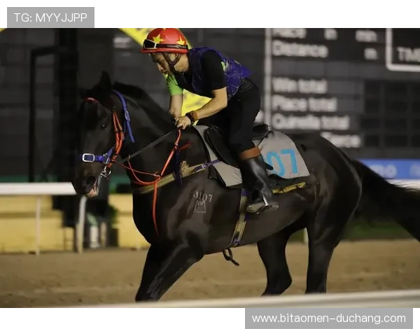 澳门赛马规则变更对赛马爱好者的影响及应对策略