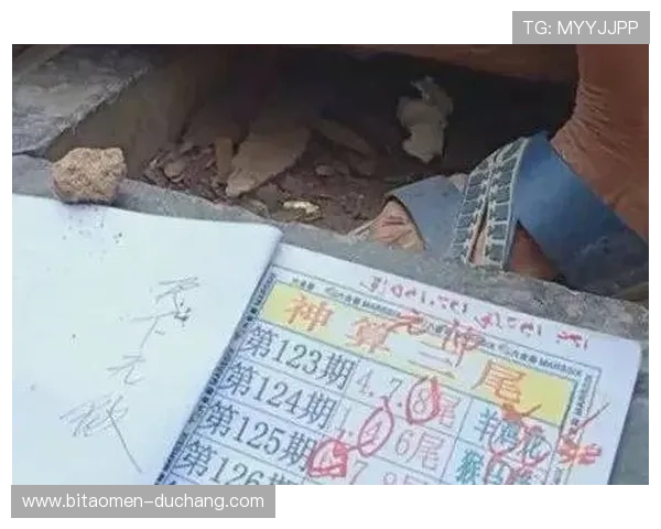 2026新澳门六合彩中奖号码的统计规律与未来预测方法 2026新澳门六合彩中奖号码的统计规律与未来预测方法