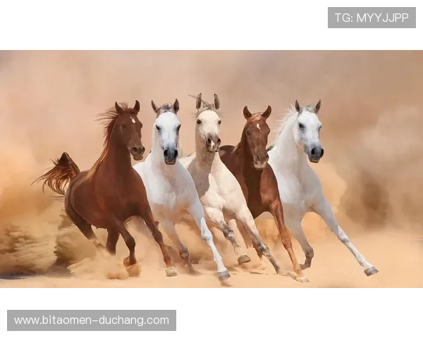 凯撒宫简介：了解游戏开发背景、制作团队及其在行业中的地位