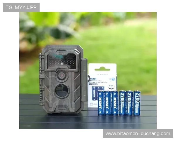 bb视讯app多端同步使用，无缝连接娱乐体验