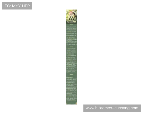 大阳城国际站玩家必看：最新游戏更新内容与实用技巧指南