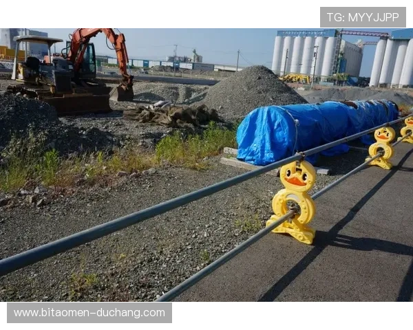 海洋之神集团官网登录入口与最新动态分析